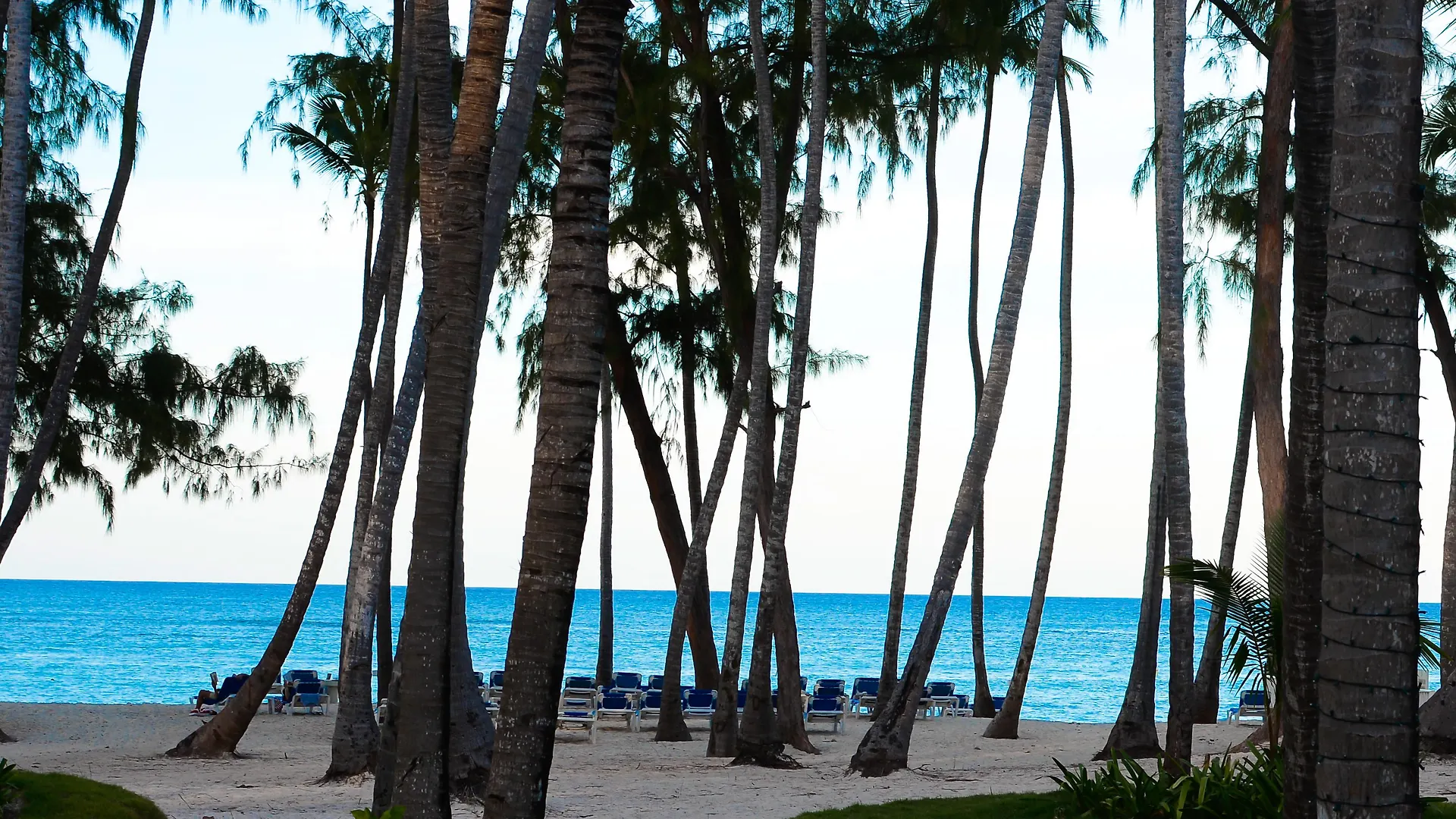 Vista Sol Punta Cana Hotel
