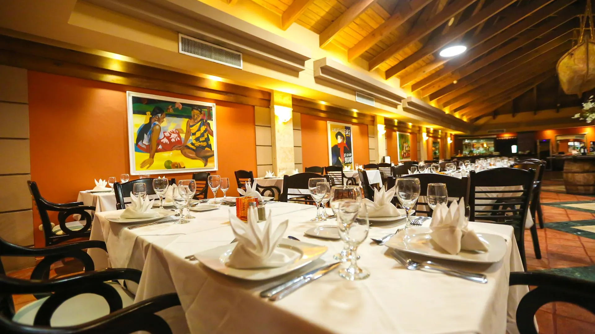 **** Hotel Vista Sol Punta Cana Dominican Republic