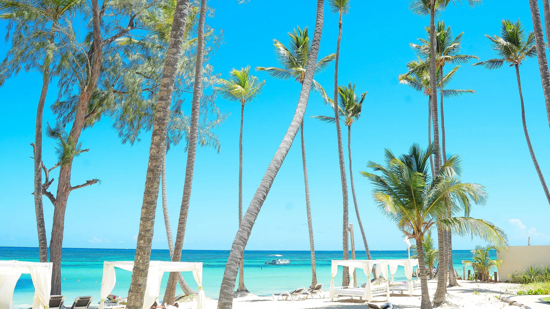 Hotel Vista Sol Punta Cana